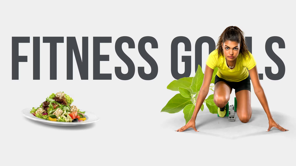 Fitness and Wellness Hero Banner - fitness-and-wellness